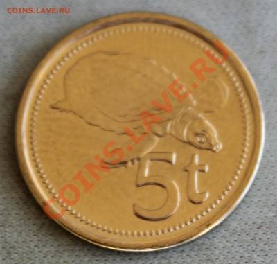 ПАПУА НОВАЯ ГВИНЕЯ 5 тоэа 2005г.ЧЕРЕПАХА до 21.03.13г.в 22-0 - IMG_5216.JPG