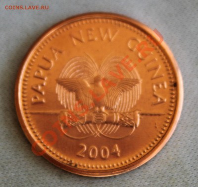 ПАПУА НОВАЯ ГВИНЕЯ 2 тоэа 2004г.РЫБА до 21.03.13г.в 22-00 - IMG_5219.JPG