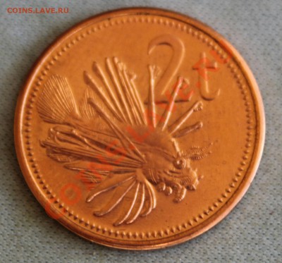 ПАПУА НОВАЯ ГВИНЕЯ 2 тоэа 2004г.РЫБА до 21.03.13г.в 22-00 - IMG_5218.JPG