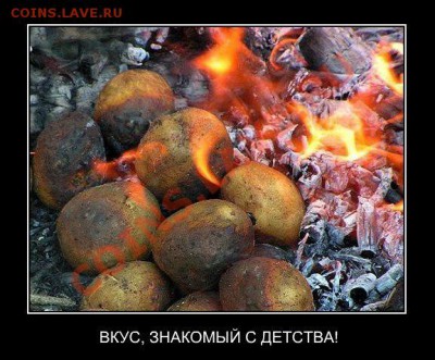делает - прямо сейчас !!! - 1ZWcervxvN0