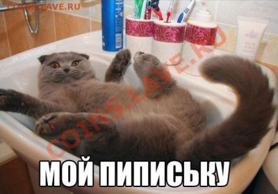 делает - прямо сейчас !!! - 6xg-8xCaf7Y
