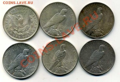 КОЛЛЕКЦИЯ СЕРЕБРЯНЫХ ДОЛЛАРОВ 1921-1928 - img591