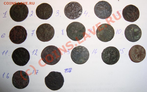 прошу оценить врпэшные полушки - DSC02685.JPG