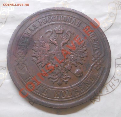 5 копеек 1881 г.оценка для продажи. - DSCN1051.JPG