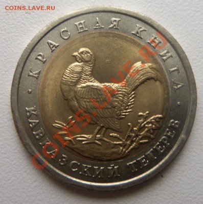 Красная книга 50 руб. 1993 г. ( Кавказский тетерев ) - Изображение 1369