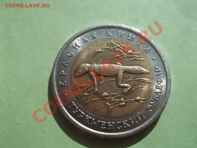 Эублефар 1993 КК - Сrauze21 578