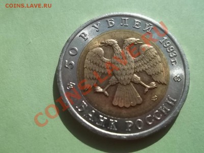 Эублефар 1993 КК - Сrauze21 579
