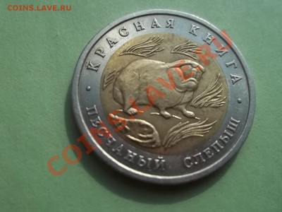 Песчанный слепыш КК - Сrauze21 580