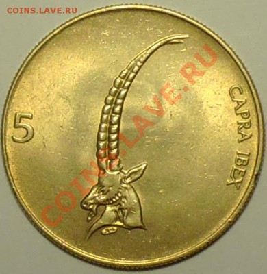 СЛОВЕНИЯ - 5 толаров 1993 - Карпатский козерог - до 22 марта - 828