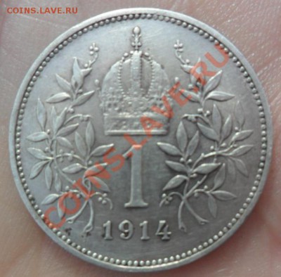 Оценка монеты 1914г - SAM_1999.JPG
