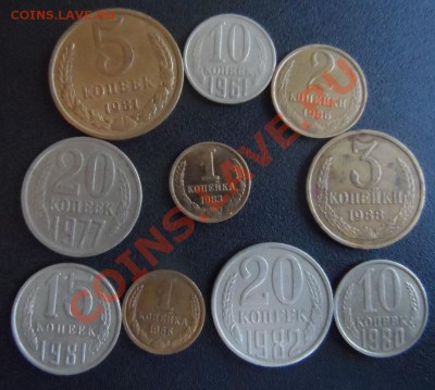1к83 кор.ости-годная-не набор и бонусы кошерные-до 22 03 13 - SAM_0842.JPG