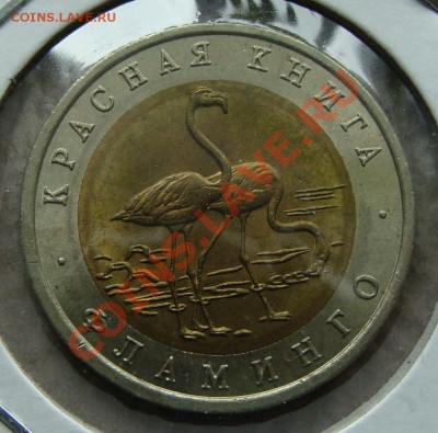 - Красная книга 1994 (Фламинго) - до 22.03.2013 - DSC05891.JPG