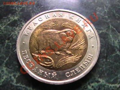 КРАСНАЯ КНИГА 1994  РАСКОЛЫ - 3044949481_1