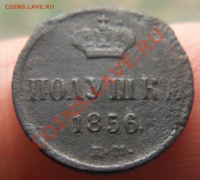 Полушка 1856 года - Изображение 1474