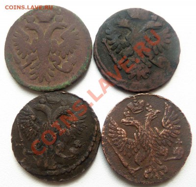 Денга 1736,38,46,48 гг. - Изображение 1467