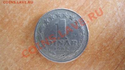 1 динар Югославия 1965 - DSCN3471.JPG