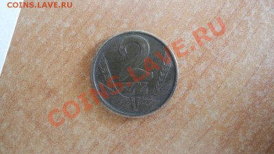 2 золотых Польша 1981 - DSCN3488.JPG