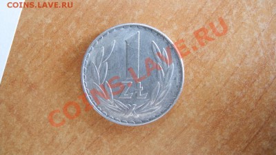 1 злотый Польша 1949 - DSCN3483.JPG