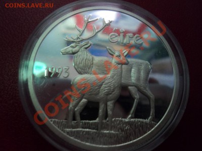 Ирландия 1экю Олени - DSC00122ф