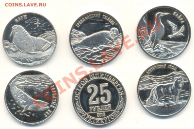 Шпицберген 2013 5 зверей :) - скан 014