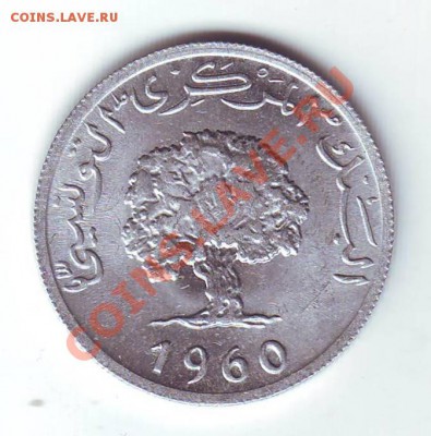 Тунис.5 Миллим.1960.Дуб. до 25 марта - 19600004.JPG