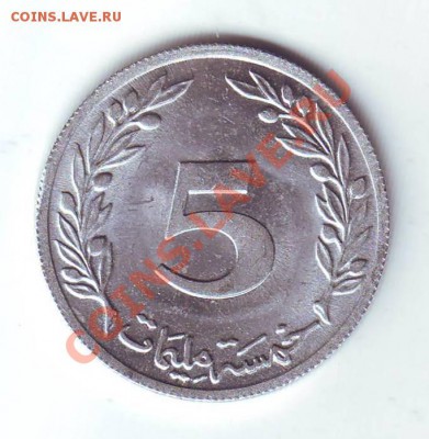 Тунис.5 Миллим.1960.Дуб. до 25 марта - 19600005.JPG