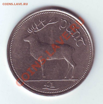 Ирландия.Фунт.1998.Олень. до 25 Марта - 19980019.JPG