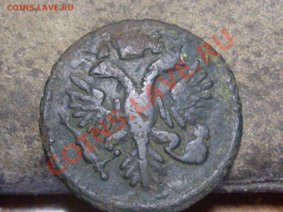 денга 1731 года,брак? - SDC12602.JPG
