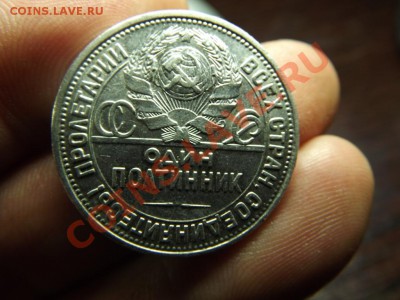 Полинник 1926г. Красивый - Изображение 4801