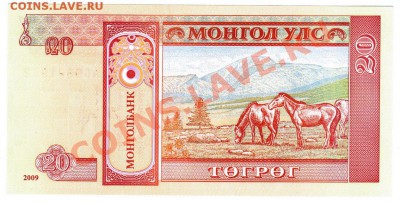 20 тугриков Монголия, 2009 год, до 26.03.2013, до 21.00 МСК - 2_20 М_2009