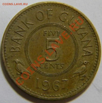 5 центов Гаяна 1967г. - DSCN5101_thumb