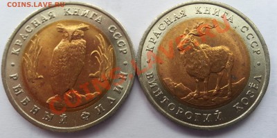 Красная Книга 1991 год до 23.03.2013 - 20130321_165657_cr