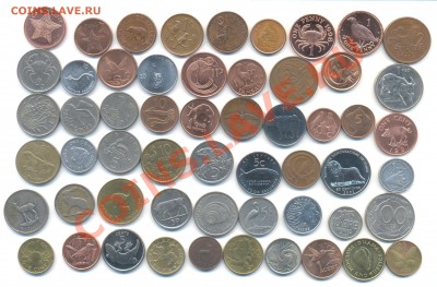 ФАУНА! 136 монет из 59 стран С РУбЛЯ! до 27.03 22-22 мск - Рисунок (1365)