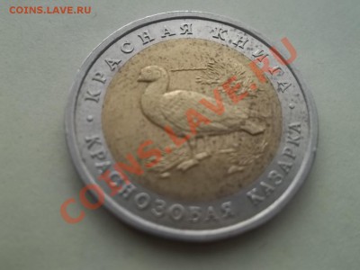 КАЗАРКА КК - Сrauze21 692