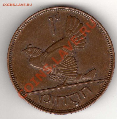ИРЛАНДИЯ ПЕННИ 1933 КУРИЦА ДО 28.03.13 В 22Ч (4743) - img197