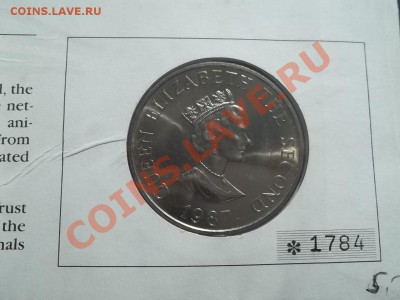 2 ФУНТА ДЖЕРСИ В КОНВЕРТЕ - Сrauze21 516