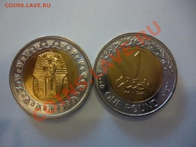 ДК Египет 1 фунт Фараон ФИКС 26.03 - P1020551.JPG