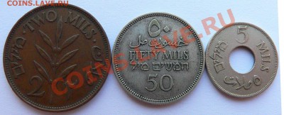 Израиль,Палестина,Иран,Египет. - P1140586