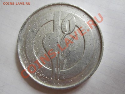 Родившейся на Дону, до 30.03.2013 в 22.00 мск. - IMG_3571