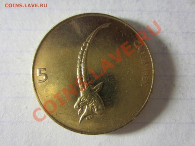 Словения 5 толаров 2000, до 30.03.2013 в 22.00 мск. - IMG_3573