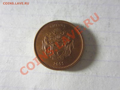 Гайана 1 доллар 2005, до 30.03.2013 в 22.00 мск. - IMG_3580