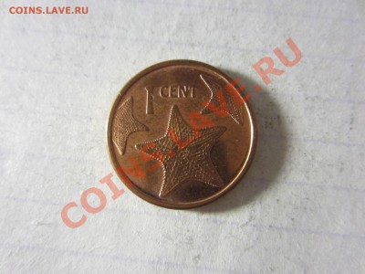 Багамы 1 цент 2009, до 30.03.2013 в 22.00 мск. - IMG_3587
