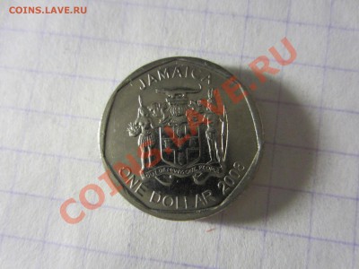 Ямайка 1 доллар 2008, до 30.03.2013 в 22.00 мск. - IMG_3658