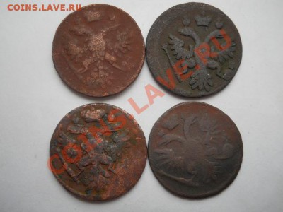 денга17372шт.35г.43г. - DSCN2211.JPG