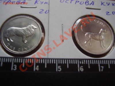 1 цент Острова Кука с собакой - P5240085.JPG