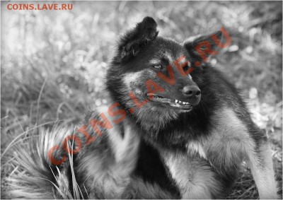делает - прямо сейчас !!! - 1347299540