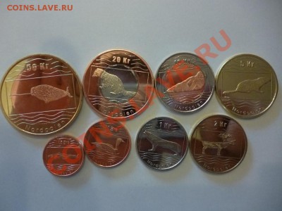ДК Северный полюс Норвегия 26.03 - P1020481.JPG
