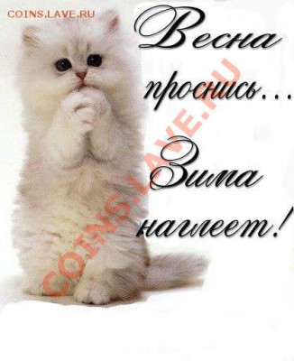 делает - прямо сейчас !!! - 136416767719974031