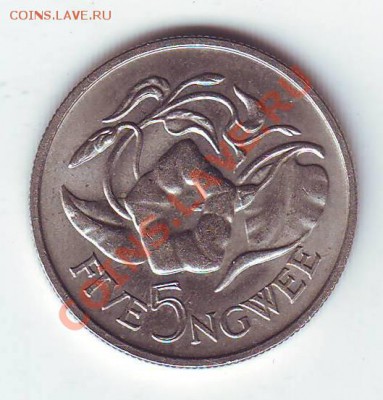 Замбия.5 Ngwee. 1968.Цветок до 31 Марта - 19680014.JPG