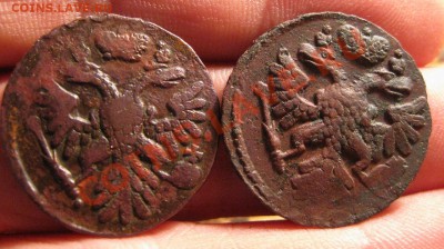 Денга 1739 (2 шт ЕМ) - 1
